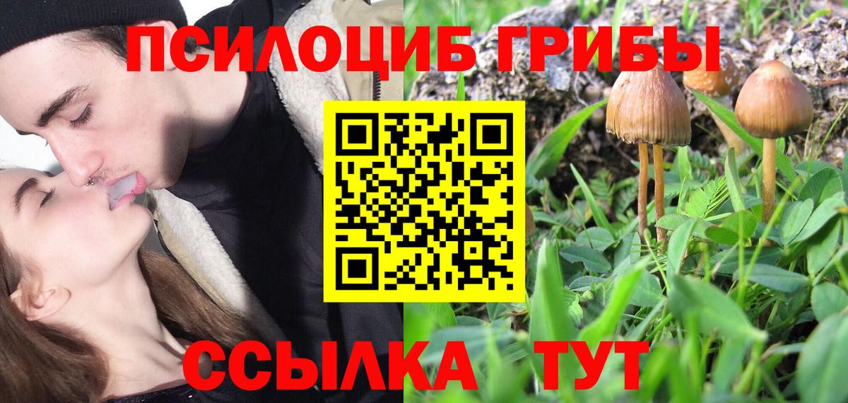 Галлюциногенные грибы мухоморы  Вход с VPN  Карпинск  Галлюциногенные грибы Magic Shrooms 